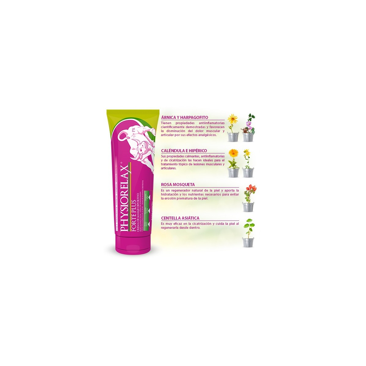 PHYSIORELAX FORTE 250 ML